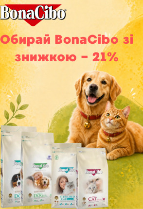 заголовок