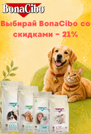 заголовок