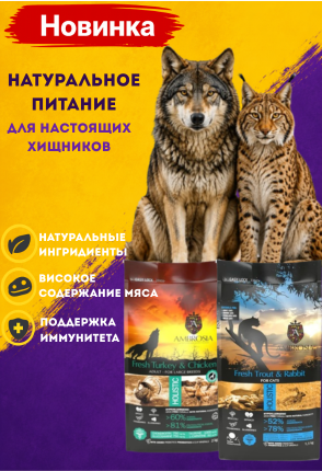 Амброзия новика