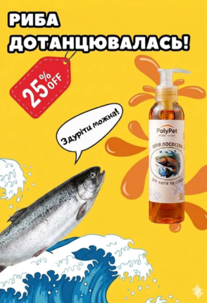 Заголовок