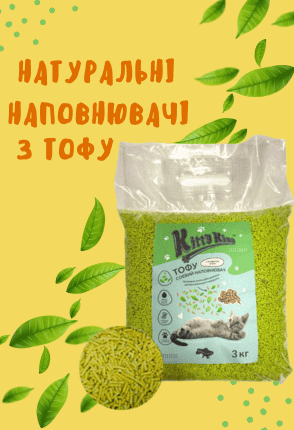 Заголовок