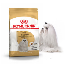Сухий повнораційний корм Royal Canin Maltese Adult від 10 місяців 0.5 кг 3182550782180