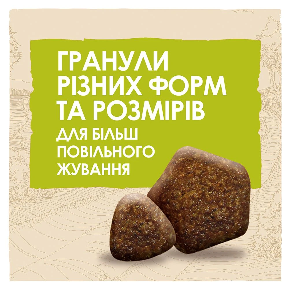 ᐉ Купить Сухой корм для взрослых собак Dog Chow Adult Lamb со