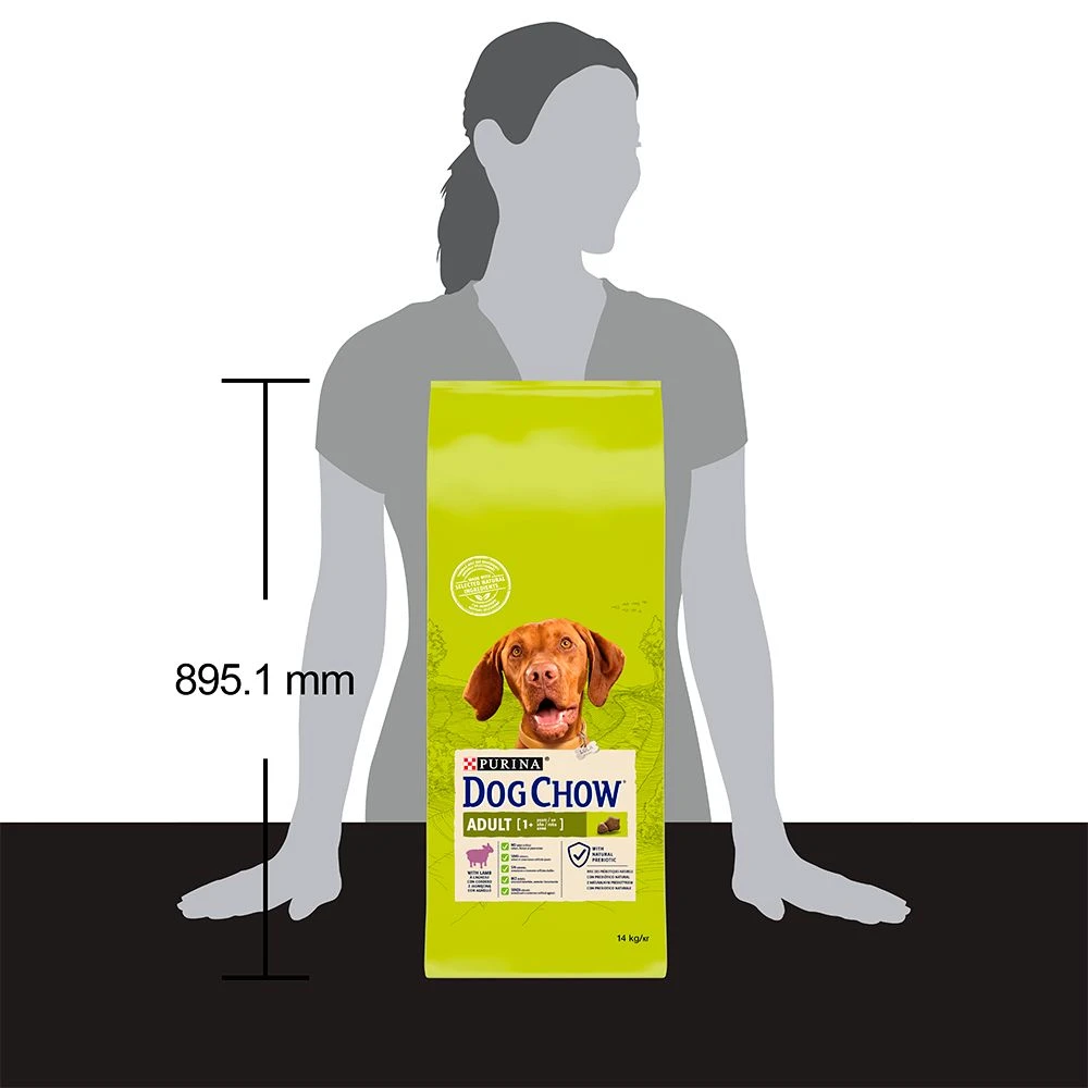 ᐉ Купить Сухой корм для взрослых собак Dog Chow Adult Lamb со