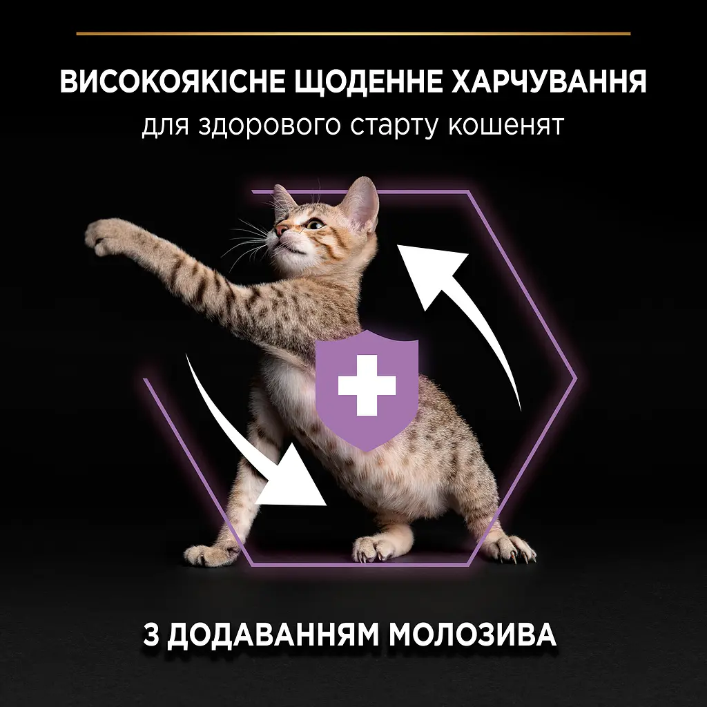 ᐉ Купить Сухой корм для котят Purina Pro Plan Original Kitten с