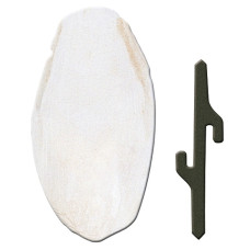 Кісточка каракатиці для птахів Ferplast PA 4330 5x1,5x12,5 см 84330899