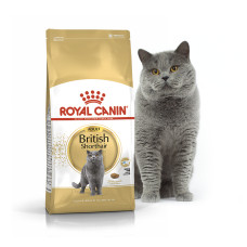 Сухий корм для котів породи британська короткошорстна Royal Canin British Shorthair Adult 10 кг 2557100