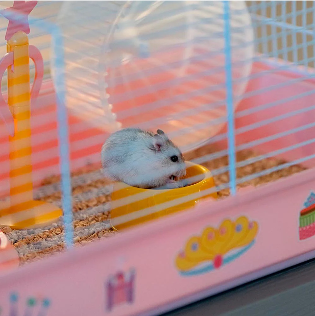 Клетка для хомяков Ferplast Criceti 9 Princess розовая 46х29.5х23 см 57009062 - zoo-expert.com.ua - 7