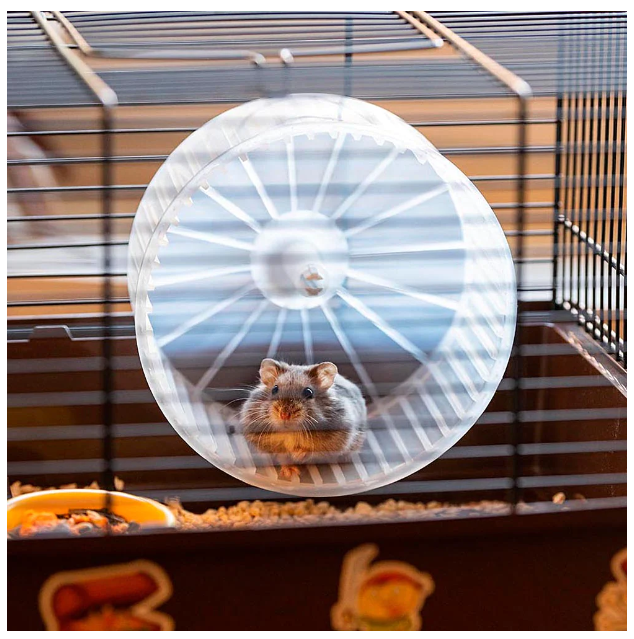 Клетка для хомяков Ferplast Criceti 9 Pirates черная 46х29.5х23 см 57009061 - zoo-expert.com.ua - 5