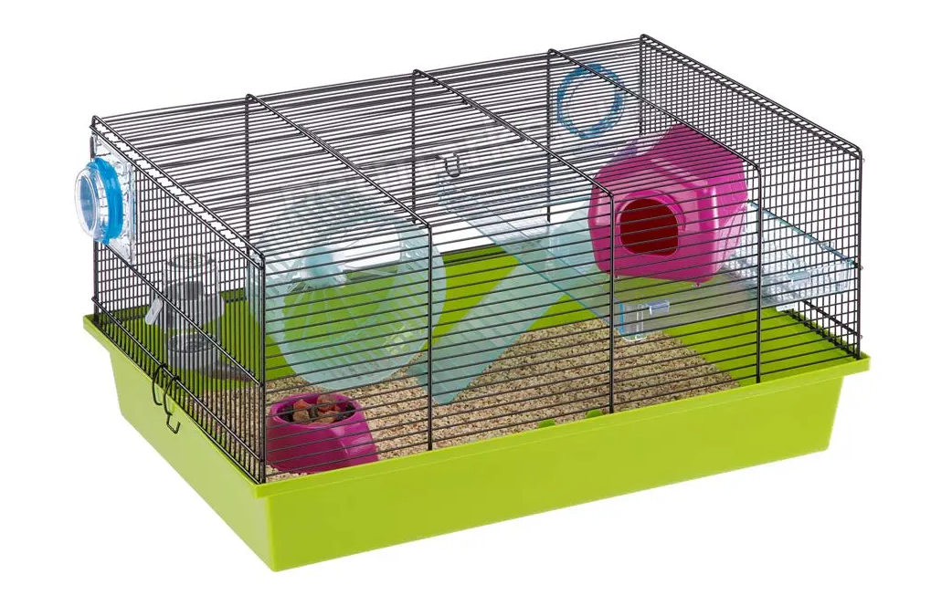 Клетка для грызунов Ferplast Milos Medium салатовая 50х35х25 см 57010517 - 2 Клетка для грызунов Ferplast Milos Medium салатовая 50х35х25 см 57010517 - zoo-expert.com.ua - 2
