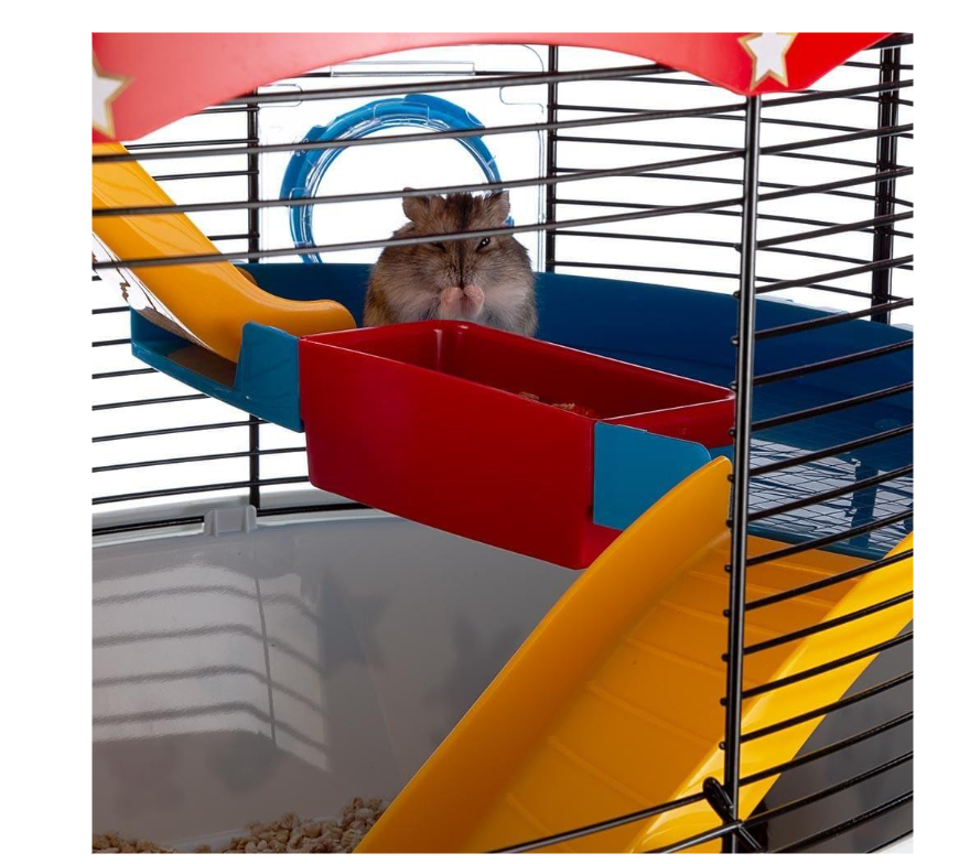 Клетка для хомяков Ferplast Circus Fun 49.5x34x42.5 см 57922799 - 3 Клетка для хомяков Ferplast Circus Fun 49.5x34x42.5 см 57922799 - zoo-expert.com.ua - 3