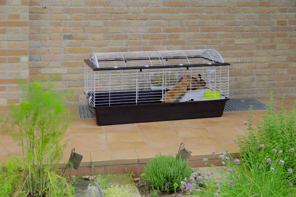 Клетка для кроликов и морских свинок Ferplast Casita 120 черная 119x58x60 см 57067170 - zoo-expert.com.ua - 9