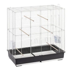 Клітка для маленьких птахів Ferplast Sonia XL черная 54016821 99,5x53x108cm