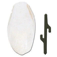 Кісточка каракатиці для птахів Ferplast PA 4330 5x1,5x12,5 см 84330899
