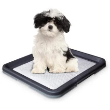 Туалет для собак Nobby Doggy Trainer 48х41х3, 5 см 67150