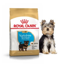 Сухой корм для щенков йоркширских терьеров Royal Canin Yorkshire Terrier Puppy 500 г 39720051