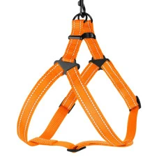 Шлея для собак BronzeDog Active нейлоновая оранжевая 2х45-56 см 71/1304