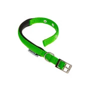 Ошейник для собак Ferplast Club C25/45 нейлоновый зеленый 2.5х37-45 см 75232401