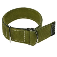 Ошейник для собак Верный друг Эконом х/б зеленый 2.5х20-51 см 3061