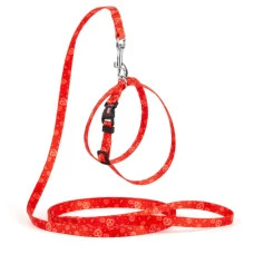 Комплект для собак и котов Kareline Hearts нейлоновый А: 30 cм В: 33 cм 180 cм 1 cм 0859/6