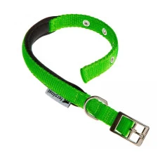 Ошейник для собак Ferplast Daytona C25/53 L нейлоновый зеленый 2.5х45-53 см 75249923