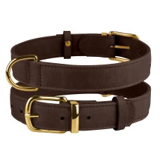 Ошейник для собак BronzeDog Crazy M кожаный коричневый 2х30-39 см 00446/T 