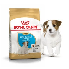 Сухой корм для щенков породы джек рассел терьер Royal Canin Jack Russell Terrier Junior 1.5 кг 21010151