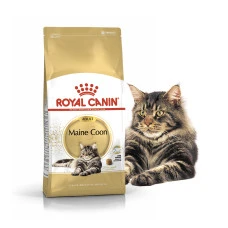 Сухой корм для взрослых котов породы мейн кун Royal Canin Adult MAINECOON 2 кг 2550020