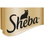 Sheba