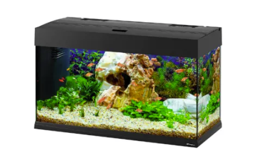 Аквариумы для рыб