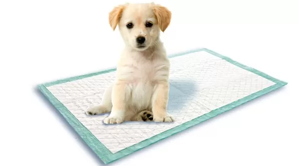 Туалеты и аксессуары